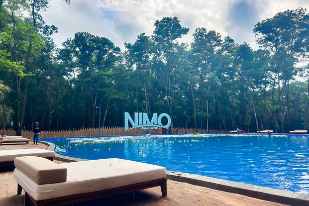 Pemandangan kolam renang yang jernih di Nimo Forest, dikelilingi oleh area bersantai dan pepohonan asri.
