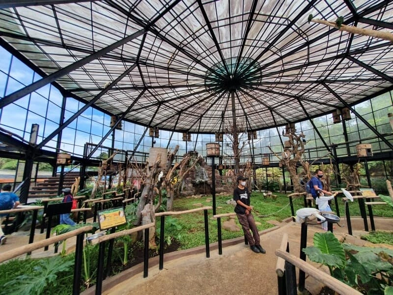 Interior Big Bird Aviary di Lembang Zoo, sebuah kandang burung besar yang lapang dengan atap melingkar.