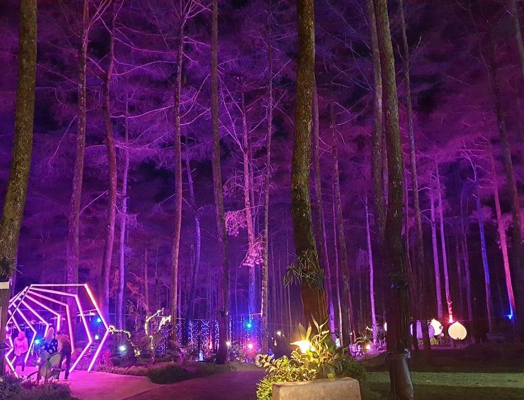 Pemandangan malam di Orchid Forest Cikole dengan pohon-pohon pinus yang dihiasi lampu warna-warni dan instalasi seni unik