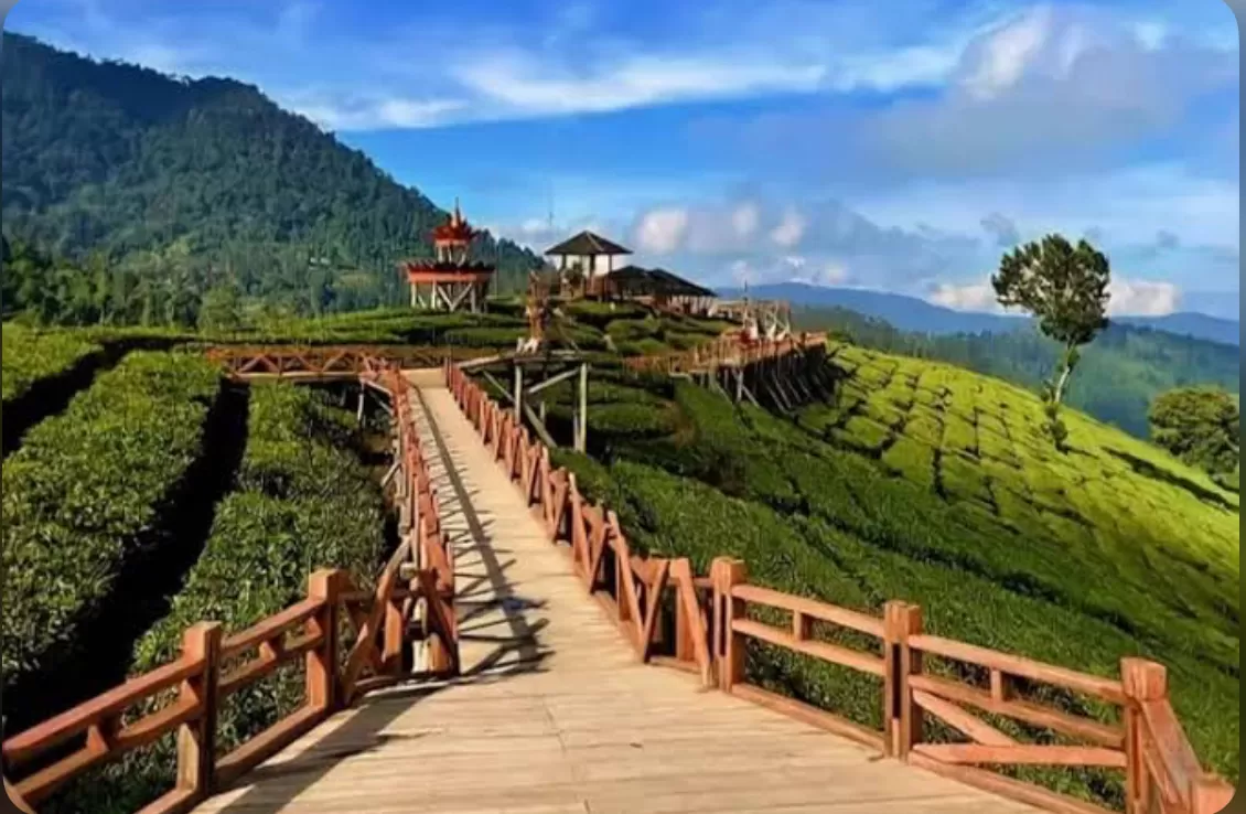 Jembatan ikonik di Wayang Windu Panenjoan, Pangalengan, dengan pemandangan kebun teh yang hijau dan perbukitan yang indah.